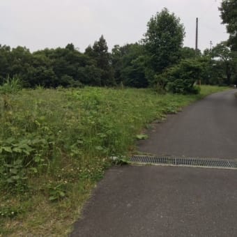秩父クールダウンライド改め、ヒートアップ練！？（最終ステージ）
