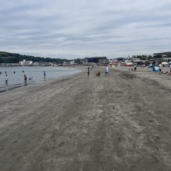 逗子海岸の1日