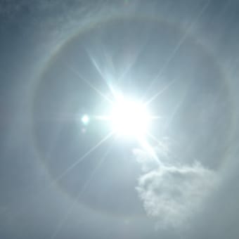 2016年8月17日　水曜日　西表島