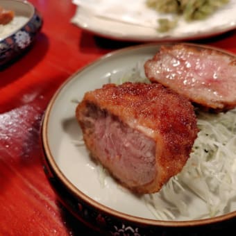 はるたび_2025-５日目-3／ 田舎家 で 馬肉料理