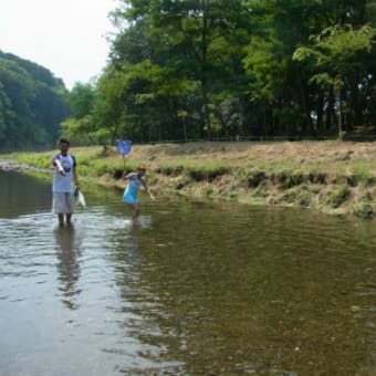 小川の生きものさがしと川遊び
