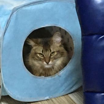 ジャスト　サイズ！