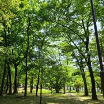 すっかり夏です～