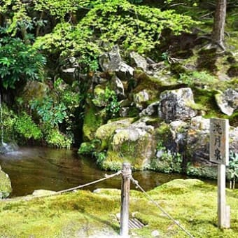 桜の道：南禅寺から銀閣寺へ　５（銀閣寺）