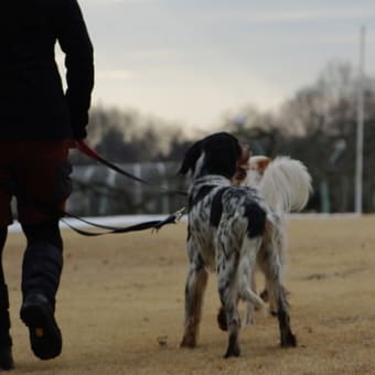 わんぱく公園でお散歩