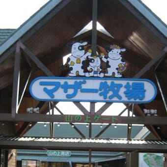 ぼうそう