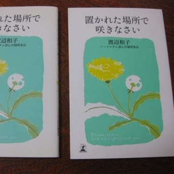 「置かれた場所で咲きなさい」