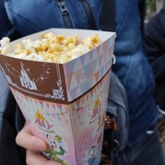 大晦日 ディズニーランド ★前編★