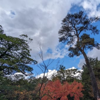 加賀温泉に行ってきました