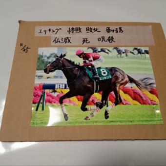 【仏滅すなわち死】エリキングという競走馬に本日から仏滅の日に強力な呪いをかけていきます。木星の魔女