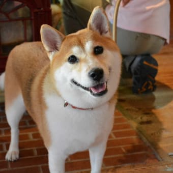 なな