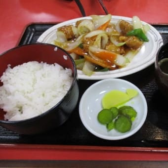 真言宗総本山・高野山お参り