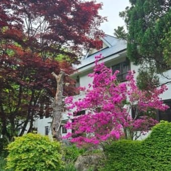 2025/05/18（日）：花と新緑に包まれてます。