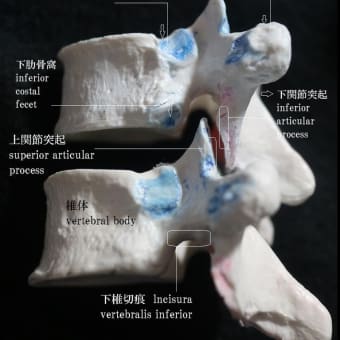 学力向上