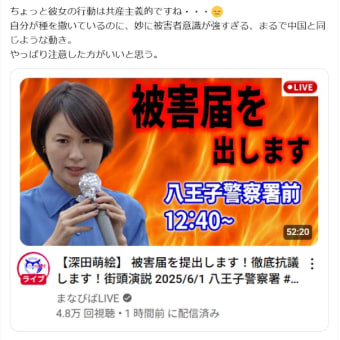 気になった海外ニュースのまとめ　2025.6.1　「叩かれる保守こそ応援するべき」