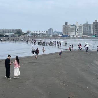 いわゆる一つの…