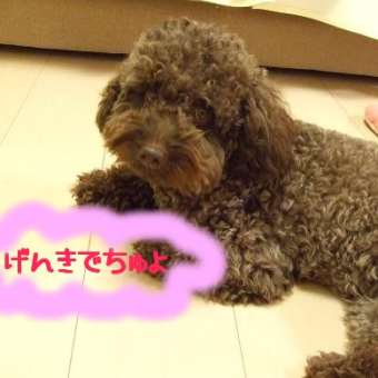 師走で・・・
