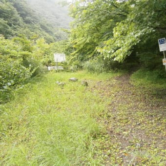 早戸川源流域、雷平