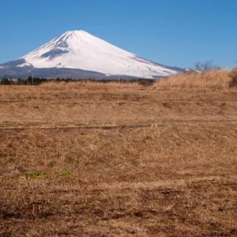 富士山が見える棚田を探しに（静岡県・御殿場市・板妻）