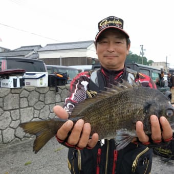 手のひらサイズのチヌが多かったそうです