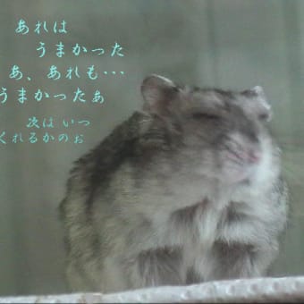 「よい思い出話のほうがほとんどです」って？