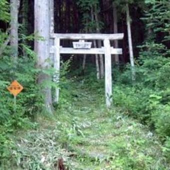 間もなく一周年