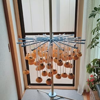 干し方を間違えている干し柿