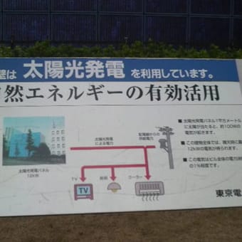 東京電力