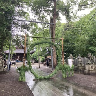 無病息災祈り　「茅の輪くぐり」始まる （野々宮神社・東近江市）