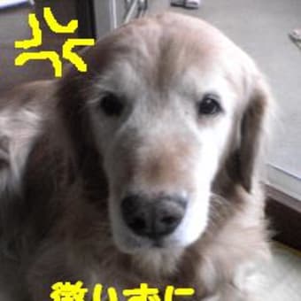 フィットネスクラブ