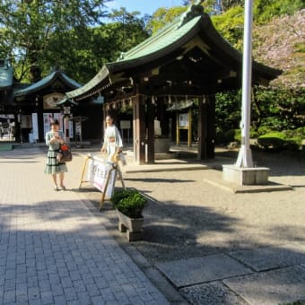 大宮八幡宮へ散歩11月3日(土)