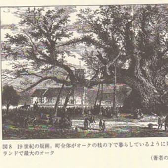 講義準備、続く