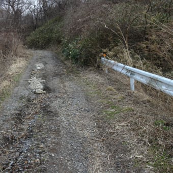 利用者が自分で直しながら使う道路