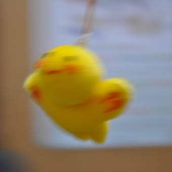 写真の練習、、、