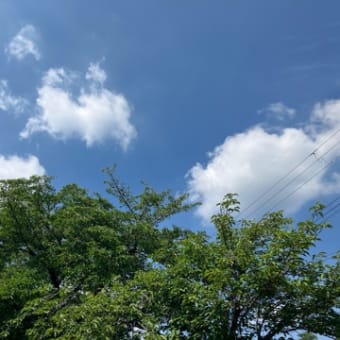 大丈夫な暑さ👌