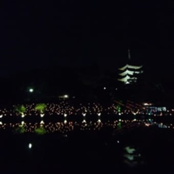 奈良：燈花会