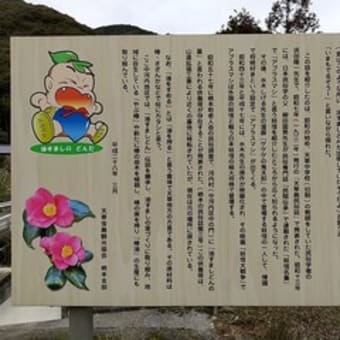 油すましどんの墓 （熊本県天草市）