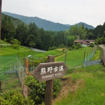 熊野古道　Kumano Kodo Pilgrimage Routes