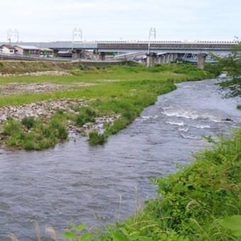 小田原市を流れる早川では6月1日からアユ釣り解禁となりました！