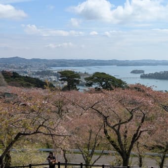 旅の最後は松島湾と西行戻しの公園でした。