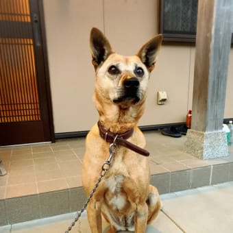 ちょうど1年。