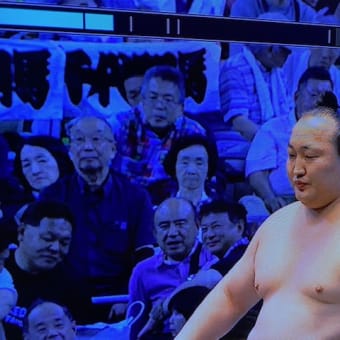 大相撲名古屋場所に行く