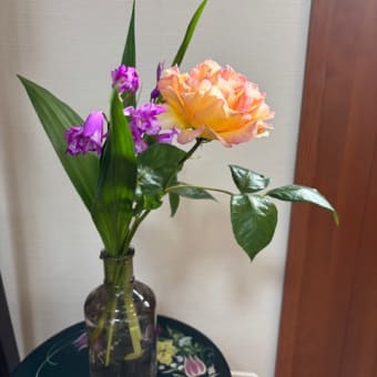 庭の花を
