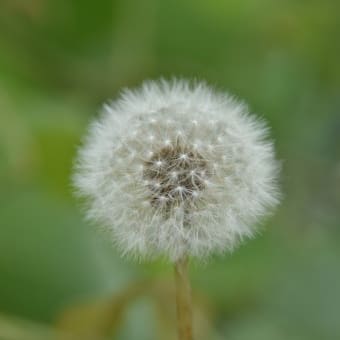 寝落ちしてた、、、