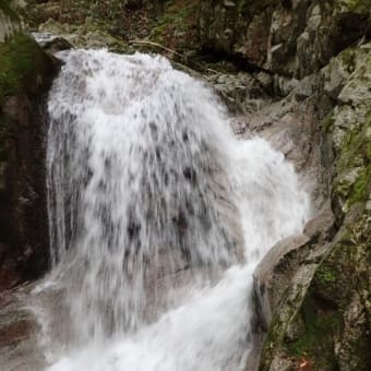 大川入山 矢作川の源流 柳川を遡行