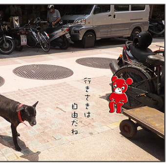 伸びのび台湾の犬
