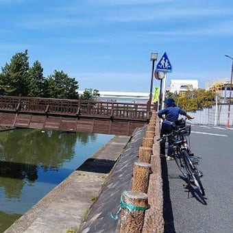 綾瀬川沿いの桜堤を草加松原までサイクリング