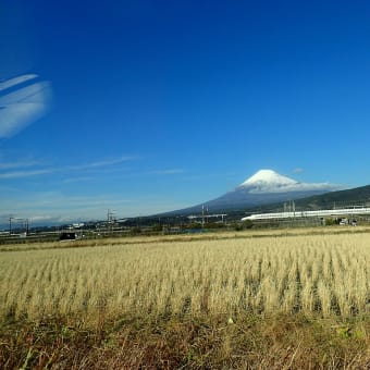 今日の富士山