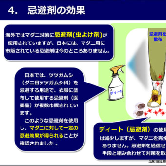 「セアカゴケグモ・マダニなど危険生物に関する講習会」