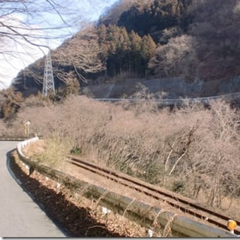 線路は続く・・・